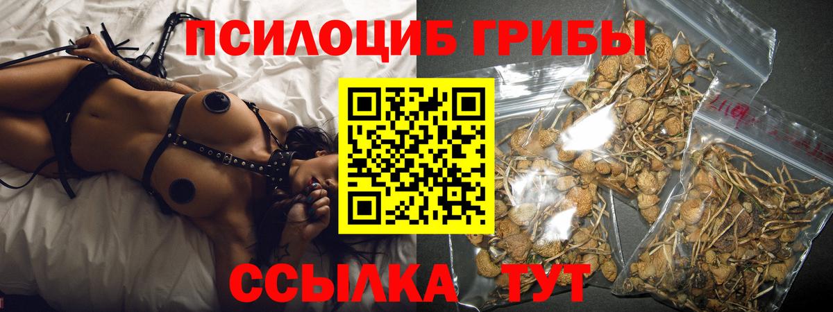 Галлюциногенные грибы Magic Shrooms  цена   Апшеронск  Вход с VPN 