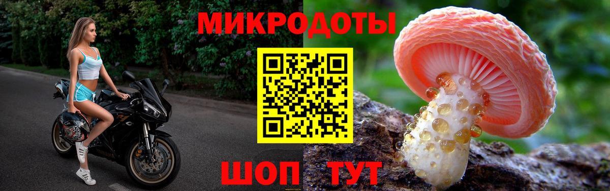 Псилоцибиновые грибы Psilocybine cubensis Апшеронск